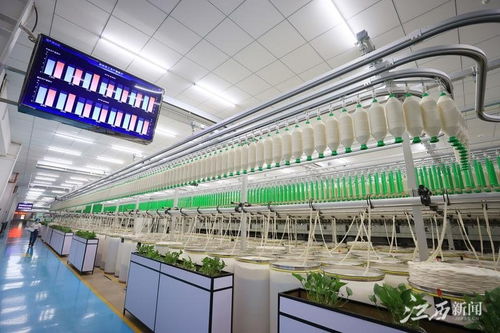 江西于都智慧工廠 智造服裝新紀(jì)元，鳳凰網(wǎng)江西引領(lǐng)網(wǎng)絡(luò)技術(shù)服務(wù)